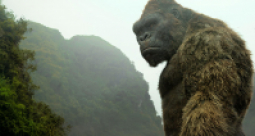 Kong: Wyspa Czaszki - zdjęcie 36